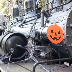 the engine of a train