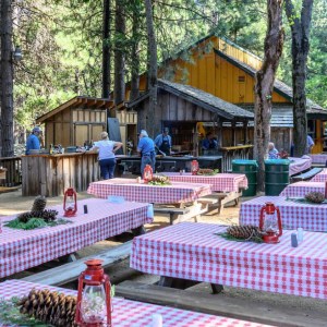 a group of people sitting at a picnic table