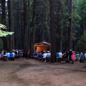 a group of people in a forest