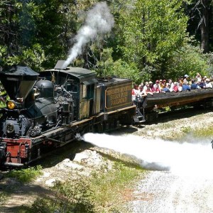 a steam engine train traveling down train tracks near a forest