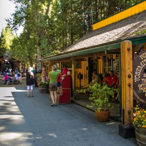 a group of people walking down the street