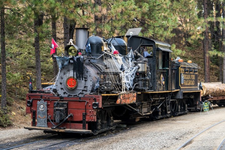 a train traveling down train tracks near a forest