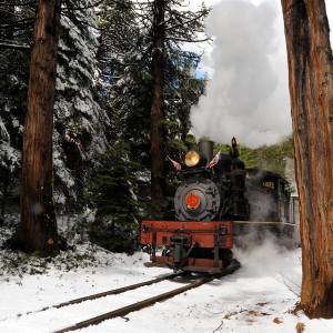 a train covered in snow