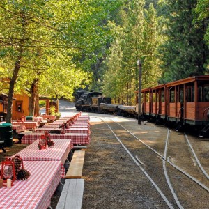 a train traveling down train tracks near a forest