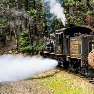 View from the log cars