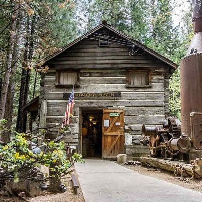 a herd of cattle standing on top of a building