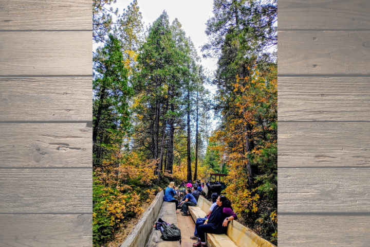 People seated on a wooden bench in a forest with fall foliage.