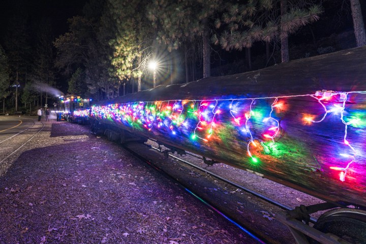 Train decorated with colorful string lights on a log in a forest setting at night.