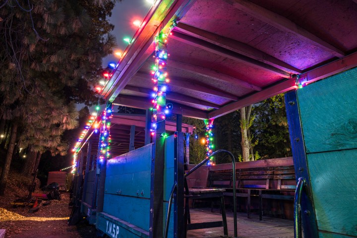 Open train car decorated with colorful string lights in a forest setting.